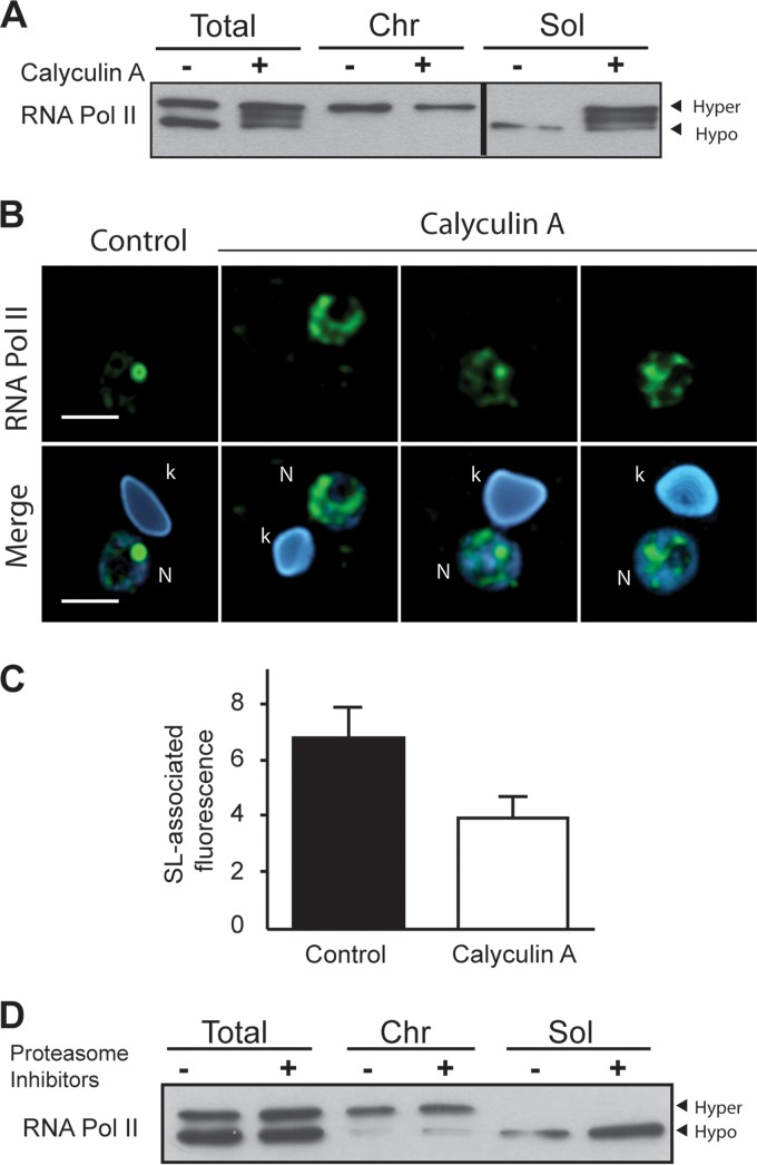 FIG 6