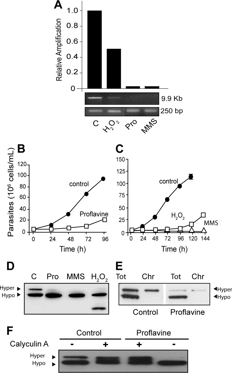 FIG 4