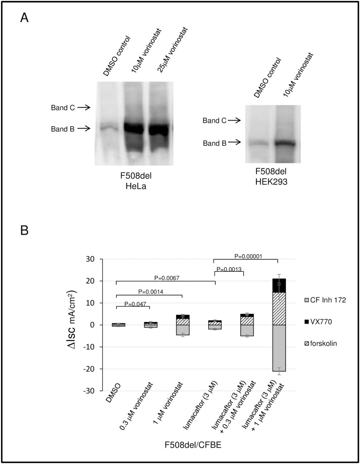 Fig 5