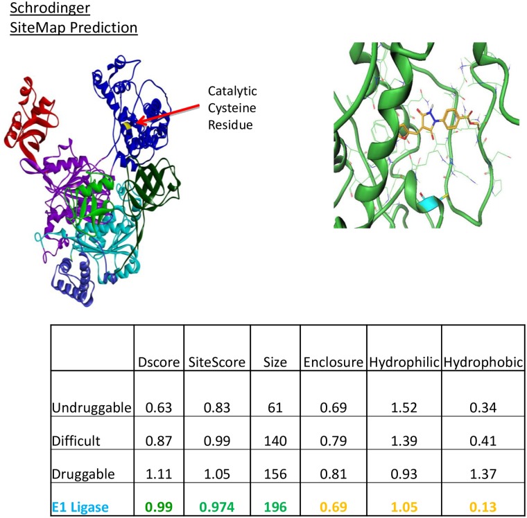 Fig 8