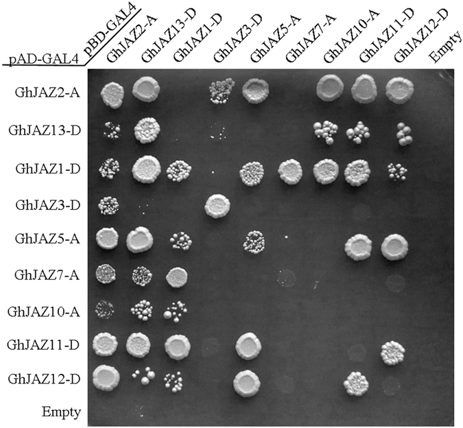 Figure 7