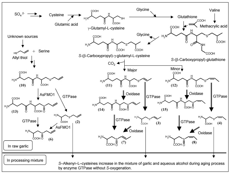 Scheme 3