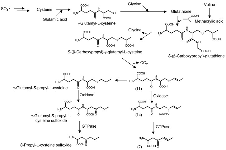 Scheme 2