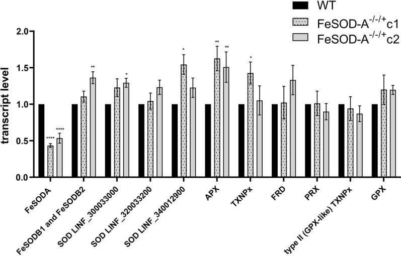 Fig. 3