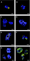 FIG. 3.