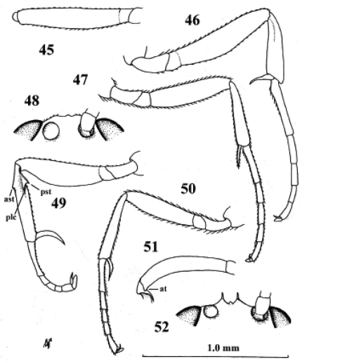 Figures 45–48.