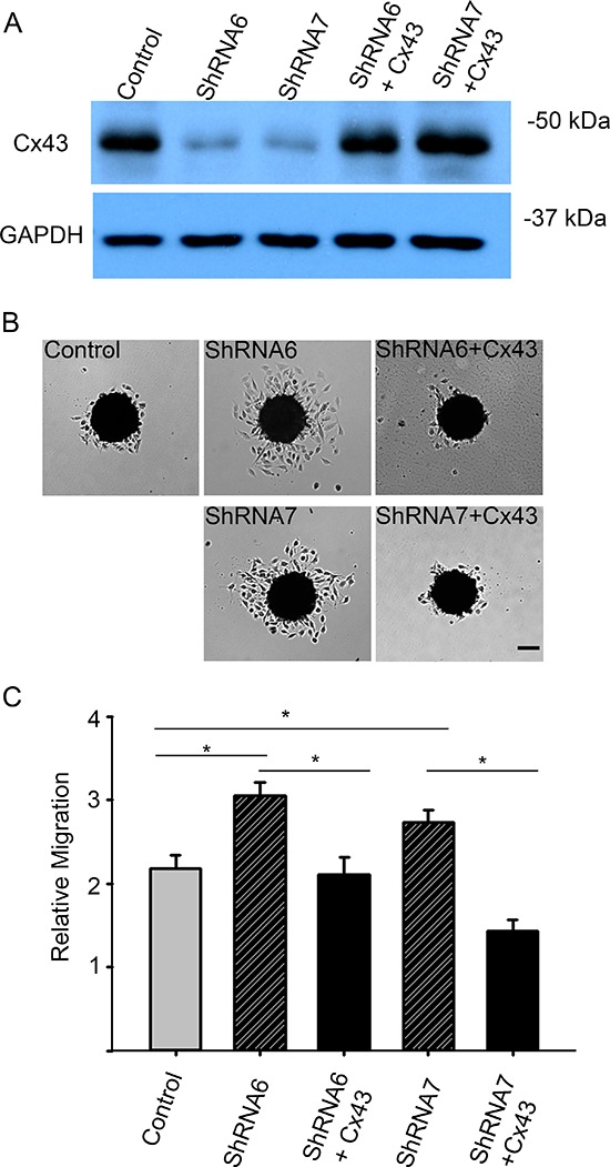 Figure 6