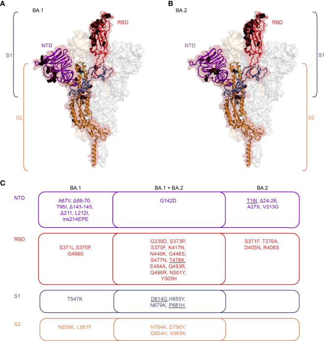 Figure 2