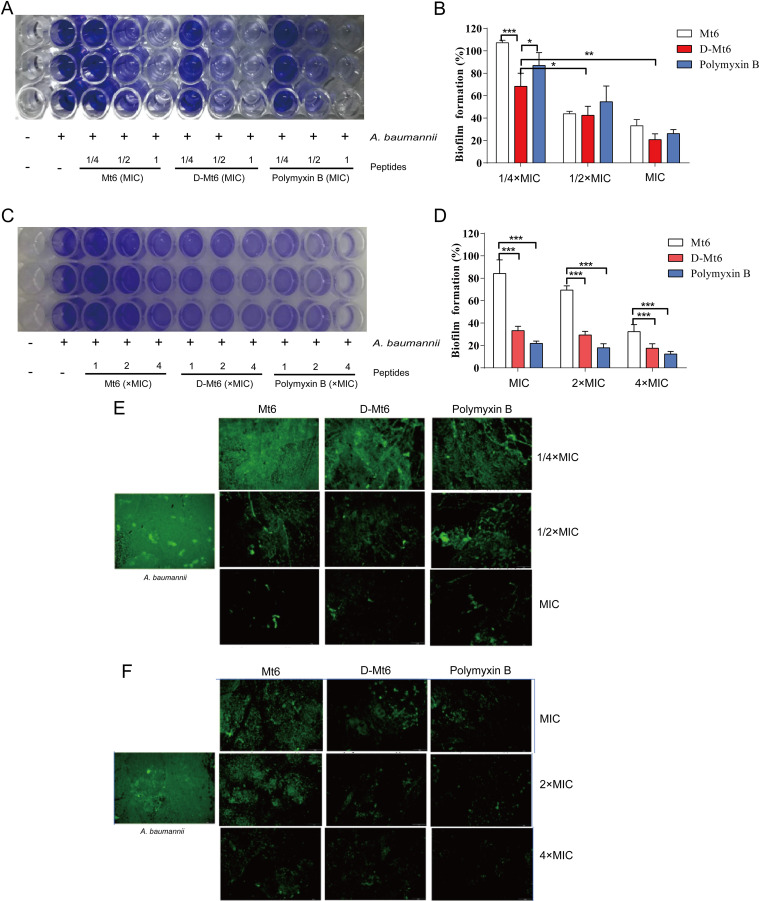 FIG 4