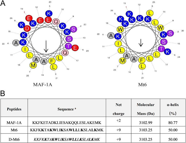 FIG 1