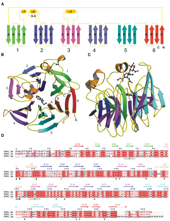 Figure 2.