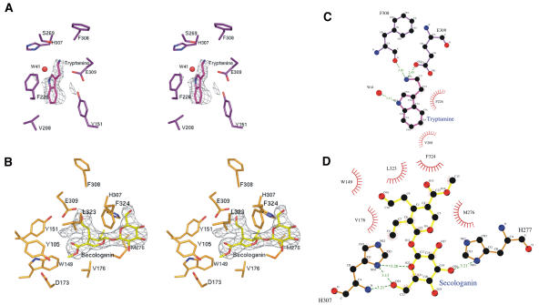 Figure 3.