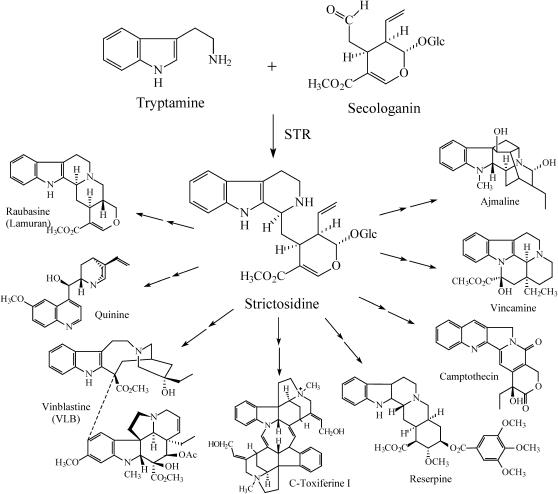 Figure 1.