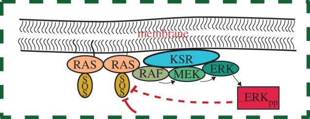 Figure 1.