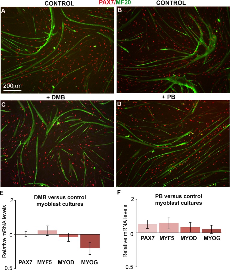 Figure 1—figure supplement 2.