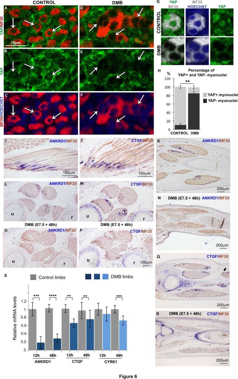 Figure 6.