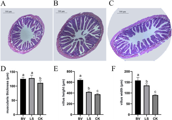 FIG 2