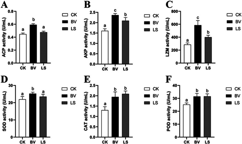 FIG 3