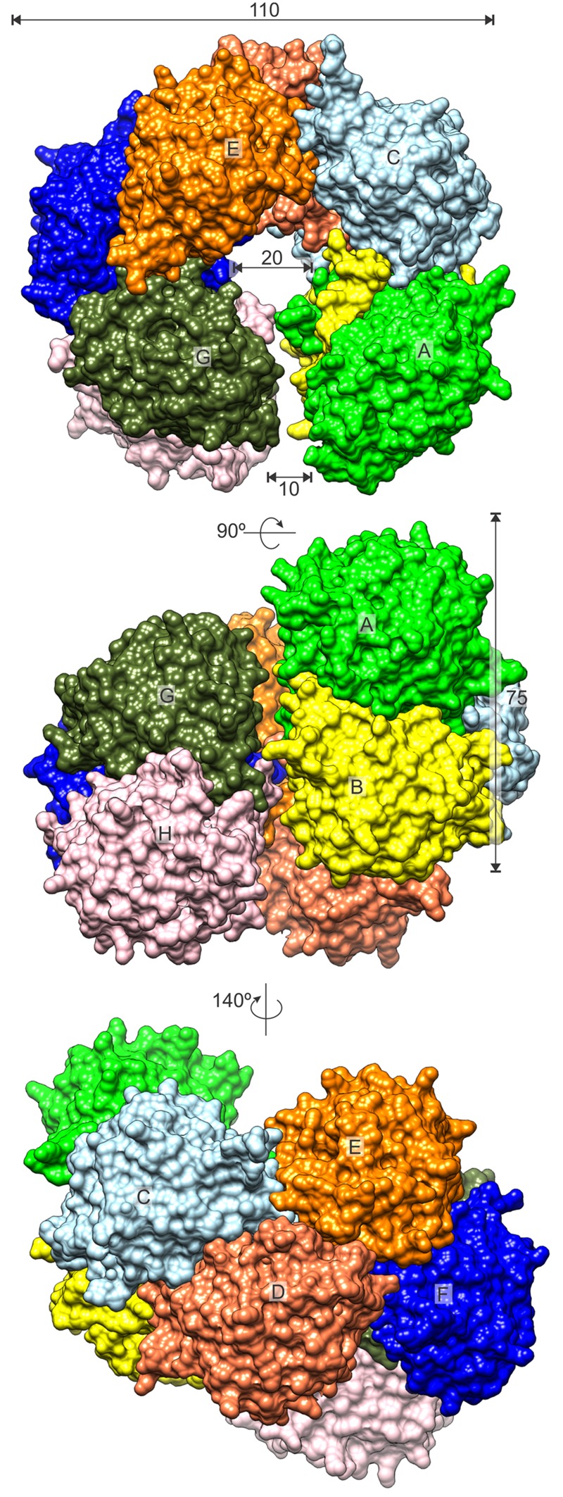 FIGURE 3