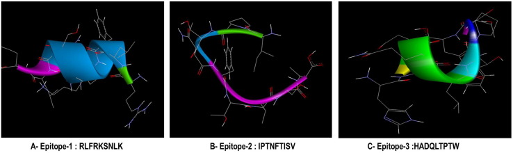 Fig. 4