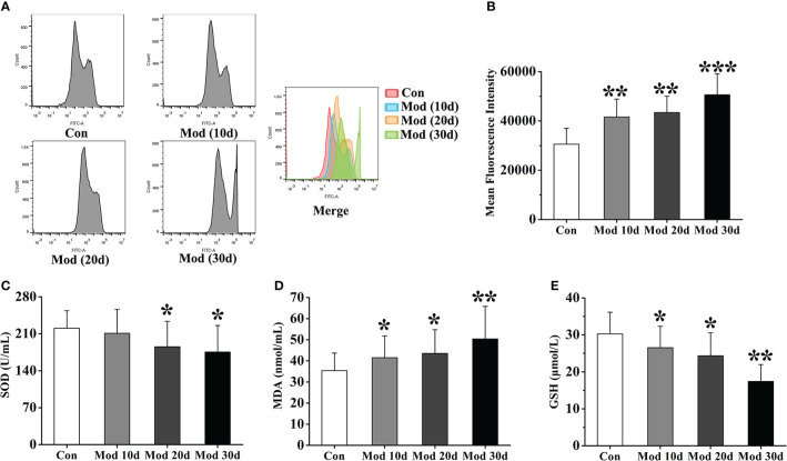 Figure 6