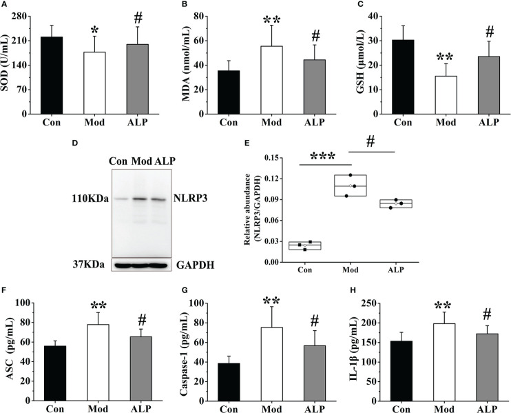 Figure 7