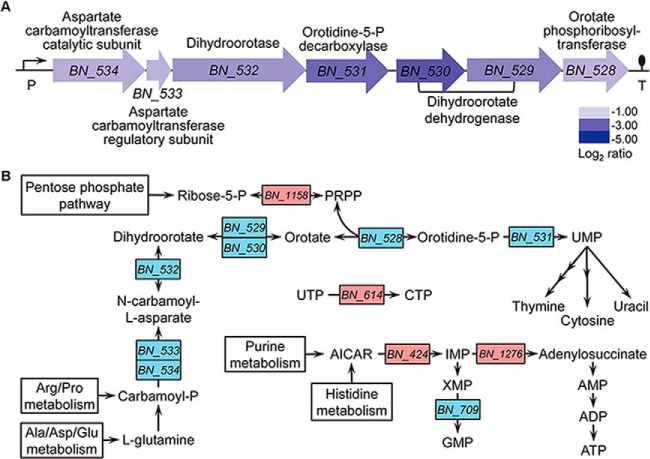 Fig. 3.