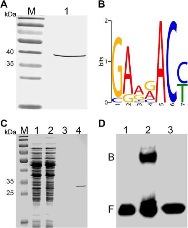 Fig. 5.