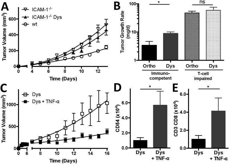 Figure 6,