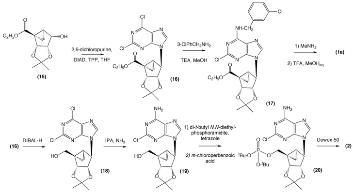 SCHEME 3