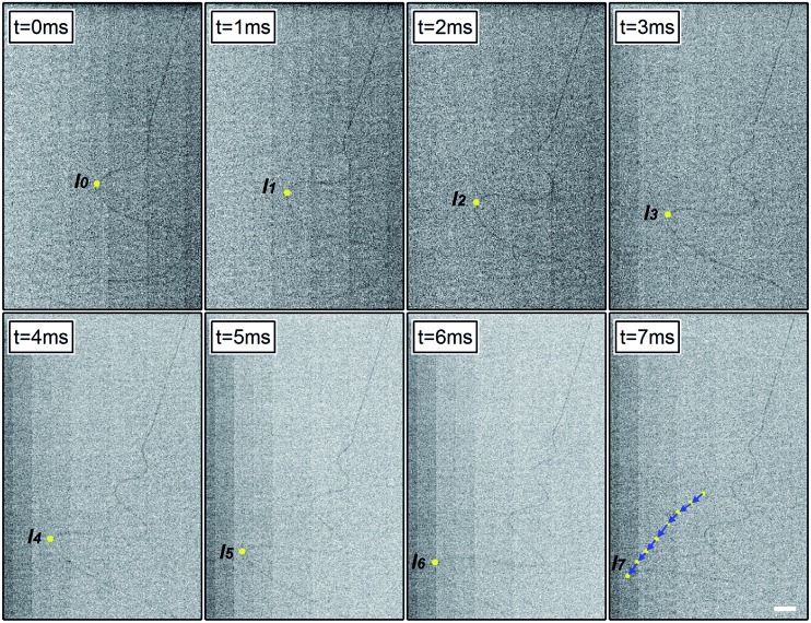 Fig. 2