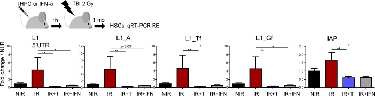 Figure 9.