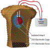 Figure 2:
