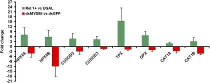 Fig. 4.