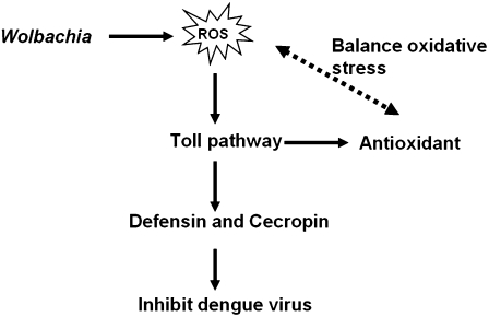 Fig. P1.