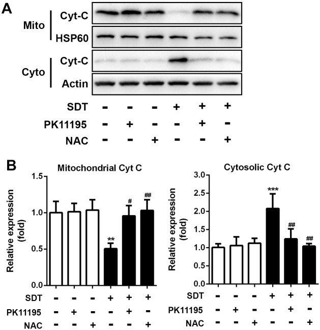 Fig 5