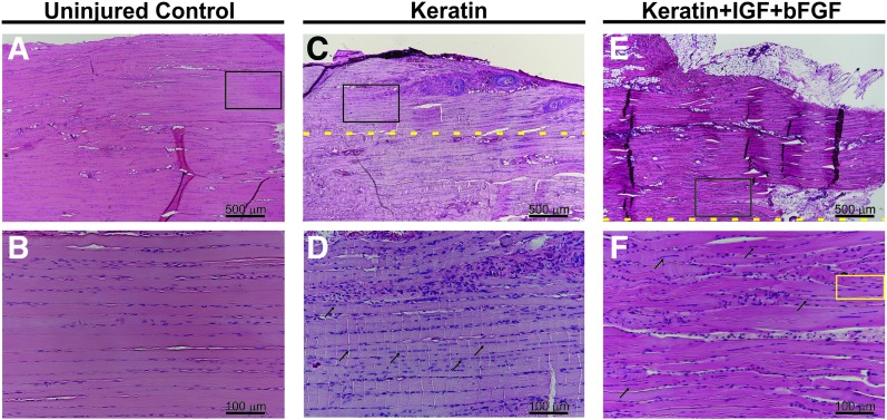 FIG. 7.