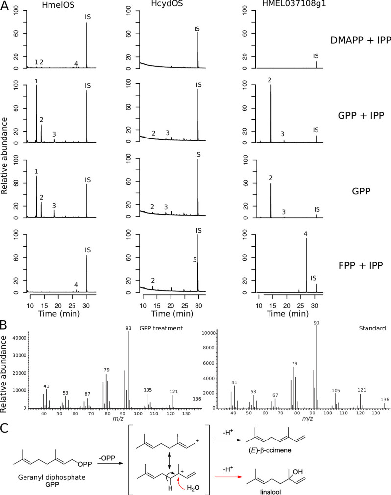 Fig 3