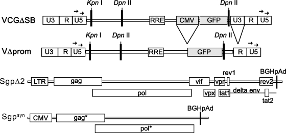 FIG. 1.