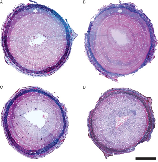 Fig. 5.