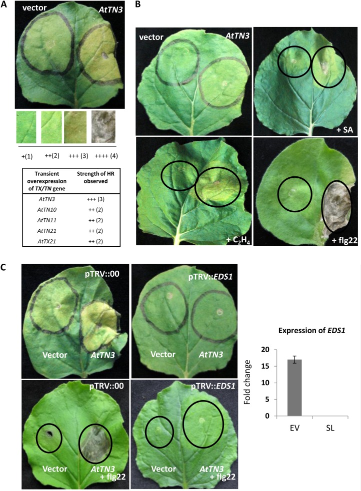 Figure 3.