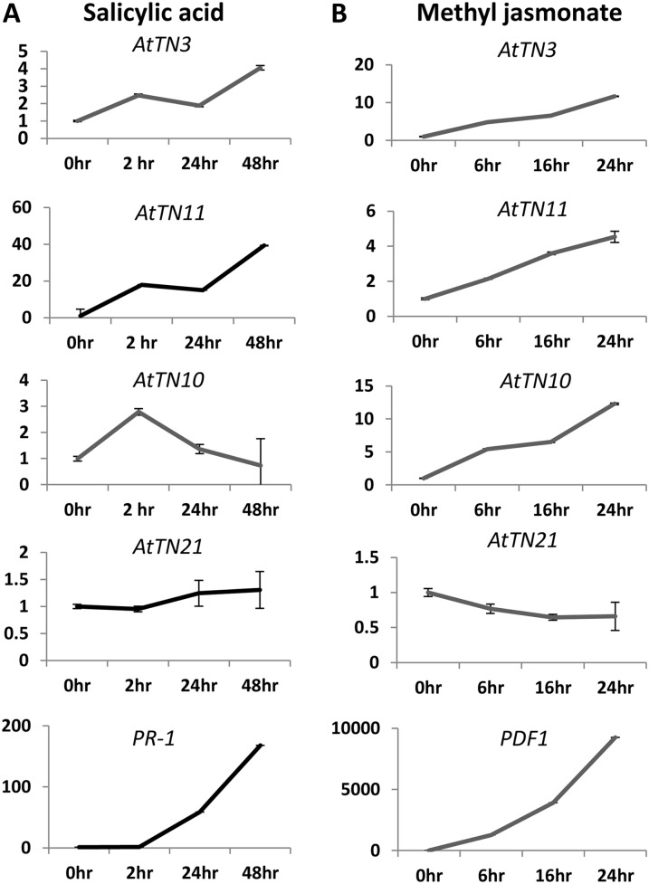 Figure 2.