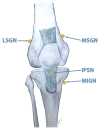 Figure 17.