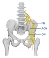 Figure 10.
