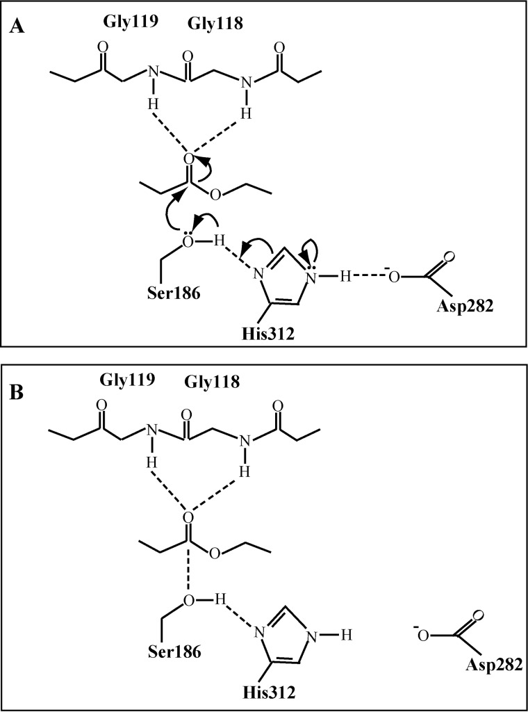 FIGURE 7.