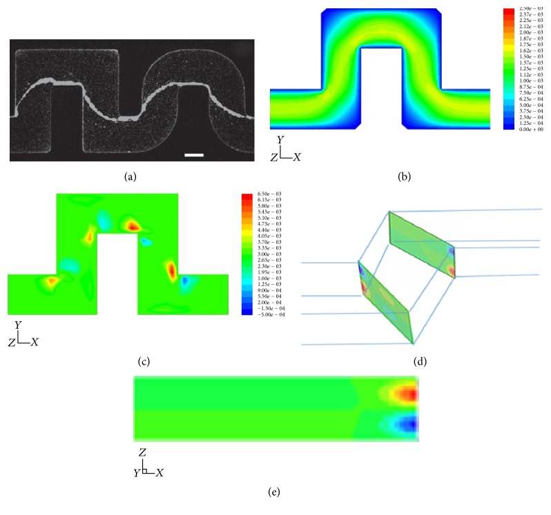 Figure 11