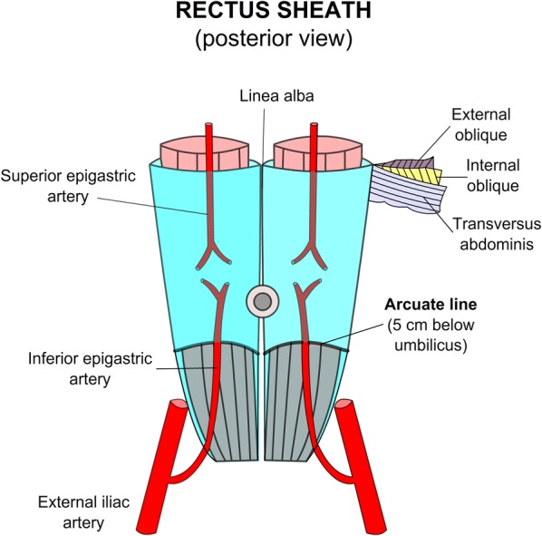 Fig. 3