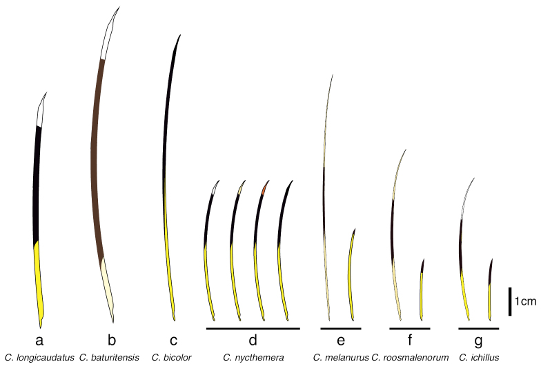 Figure 3.