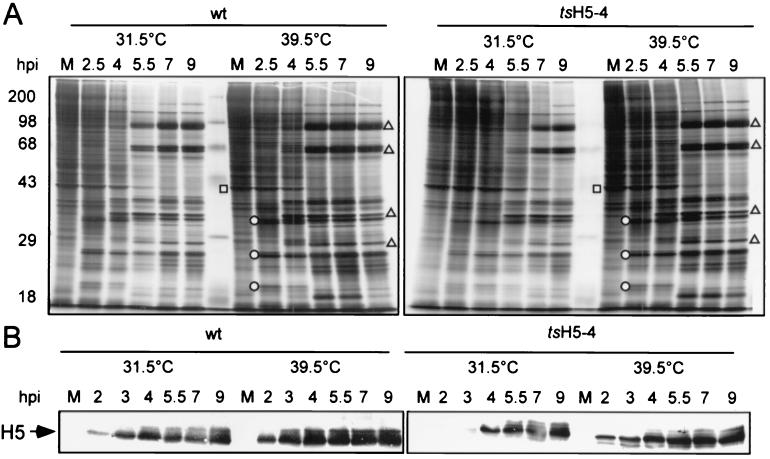 FIG. 4