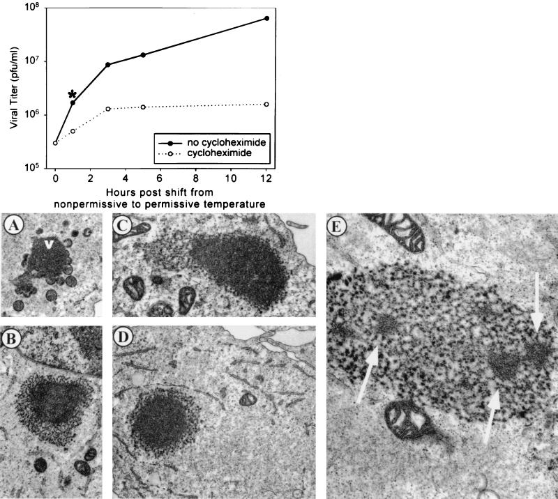 FIG. 9